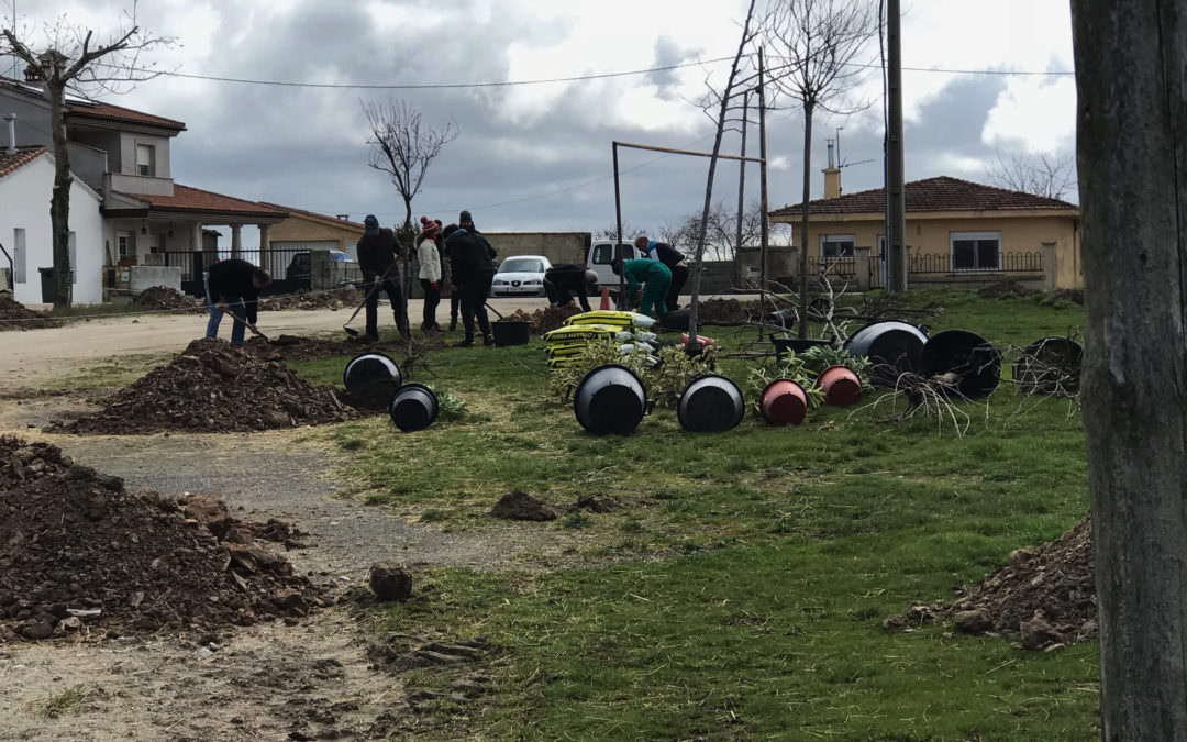 Plantación de árboles en Semana Santa 2018
